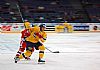 �v�dsko - �esko 4:2  